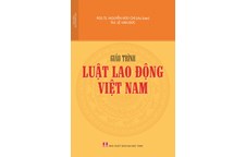 Giáo trình Luật lao động Việt Nam